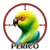Perico