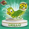 Grillo