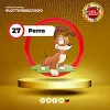 Perro