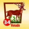 Venado